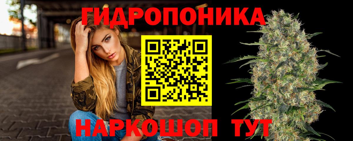 МАРИХУАНА планчик Губкинский